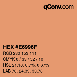 Color code: HEX #E6996F | qconv.com