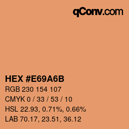 Color code: HEX #E69A6B | qconv.com