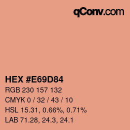 Color code: HEX #E69D84 | qconv.com