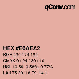 Color code: HEX #E6AEA2 | qconv.com