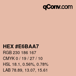 Color code: HEX #E6BAA7 | qconv.com