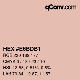 Color code: HEX #E6BDB1 | qconv.com