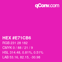 Color code: HEX #E71CB6 | qconv.com