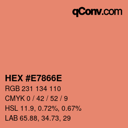 Color code: HEX #E7866E | qconv.com
