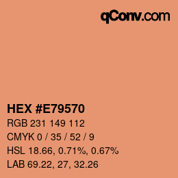 Color code: HEX #E79570 | qconv.com