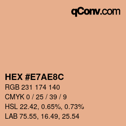 Color code: HEX #E7AE8C | qconv.com