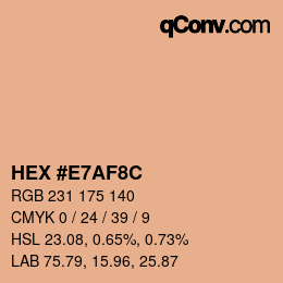 Color code: HEX #E7AF8C | qconv.com
