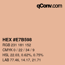 Color code: HEX #E7B598 | qconv.com