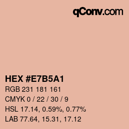 颜色代码: HEX #E7B5A1 | qconv.com