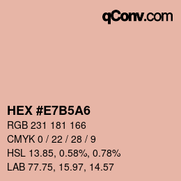 Color code: HEX #E7B5A6 | qconv.com