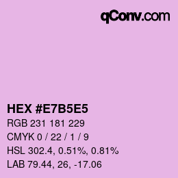 Color code: HEX #E7B5E5 | qconv.com