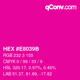 Color code: HEX #E8039B | qconv.com