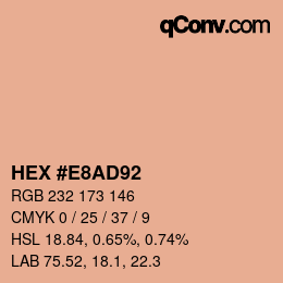 颜色代码: HEX #E8AD92 | qconv.com