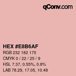 Color code: HEX #E8B6AF | qconv.com