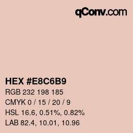 Color code: HEX #E8C6B9 | qconv.com