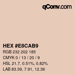 Color code: HEX #E8CAB9 | qconv.com