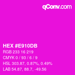 Color code: HEX #E910DB | qconv.com