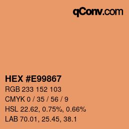 Color code: HEX #E99867 | qconv.com