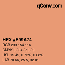 Color code: HEX #E99A74 | qconv.com