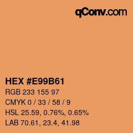 Color code: HEX #E99B61 | qconv.com