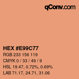 Color code: HEX #E99C77 | qconv.com