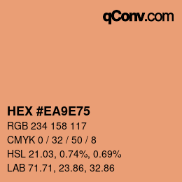 Color code: HEX #EA9E75 | qconv.com