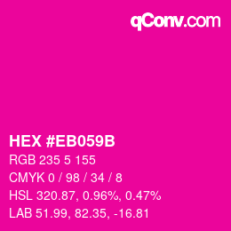 Color code: HEX #EB059B | qconv.com