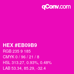 カラーコード: HEX #EB09B9 | qconv.com