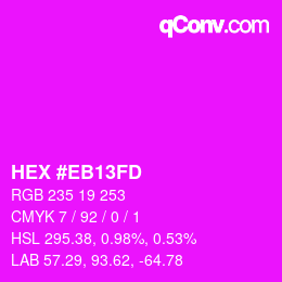 Color code: HEX #EB13FD | qconv.com
