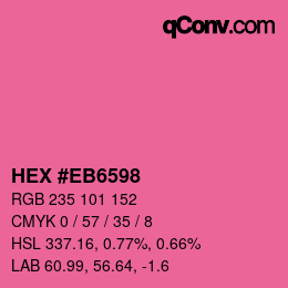 Color code: HEX #EB6598 | qconv.com