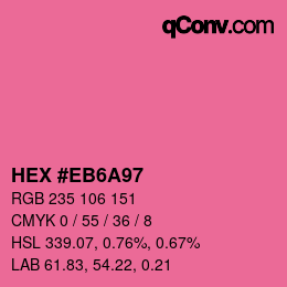 Color code: HEX #EB6A97 | qconv.com
