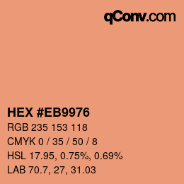 Color code: HEX #EB9976 | qconv.com