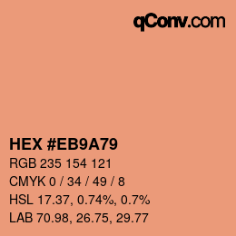 Color code: HEX #EB9A79 | qconv.com