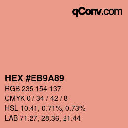 Color code: HEX #EB9A89 | qconv.com