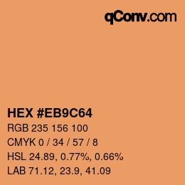 Color code: HEX #EB9C64 | qconv.com