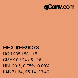 Color code: HEX #EB9C73 | qconv.com