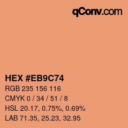 Color code: HEX #EB9C74 | qconv.com