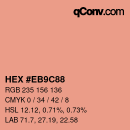 Color code: HEX #EB9C88 | qconv.com