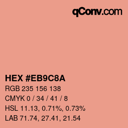 Color code: HEX #EB9C8A | qconv.com