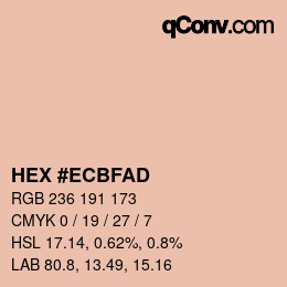 Color code: HEX #ECBFAD | qconv.com