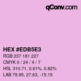 Color code: HEX #EDB5E3 | qconv.com