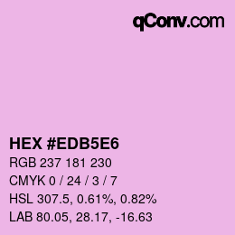 Color code: HEX #EDB5E6 | qconv.com