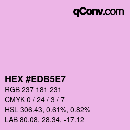 Color code: HEX #EDB5E7 | qconv.com