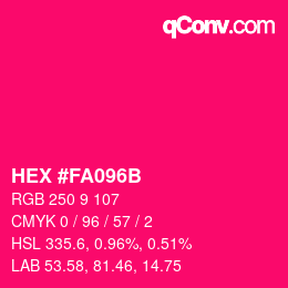 Color code: HEX #FA096B | qconv.com