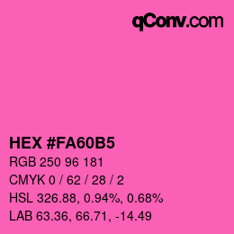 Color code: HEX #FA60B5 | qconv.com