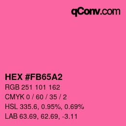 カラーコード: HEX #FB65A2 | qconv.com