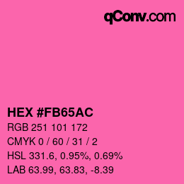カラーコード: HEX #FB65AC | qconv.com