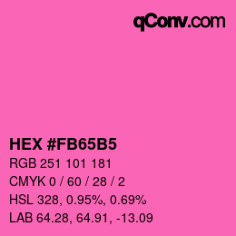 颜色代码: HEX #FB65B5 | qconv.com