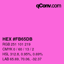 颜色代码: HEX #FB65DB | qconv.com