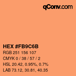 Color code: HEX #FB9C6B | qconv.com